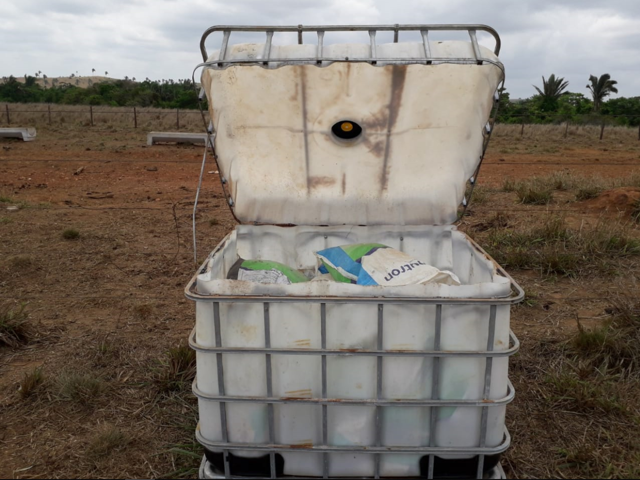 Engorda intensiva a pasto nas aguas e seca